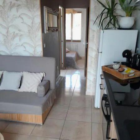 Appartement T1 Plain Pied Le Cannet-des-Maures Exterior photo
