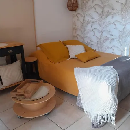 Appartement T1 Plain Pied Le Cannet-des-Maures Exterior photo
